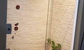 Imagem 4: Apartamento para aluguel e venda no IPS