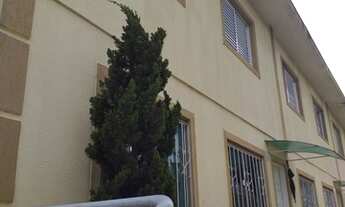 Imagem 4: São Paulo - Casa Padrão - Pedreira