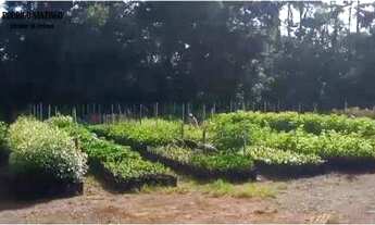 Imagem 5: Casa no centro de Laurentino 2 dormitórios 2 banheiros e um amplo terreno REF: 1278