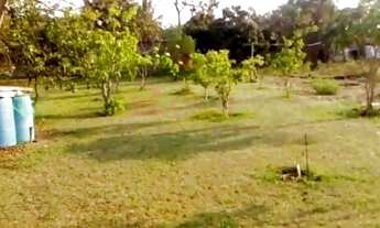 Imagem 3: Venda de Rural / Chácara na cidade de ITIRAPINA