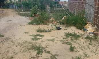 Imagem 4: Terreno Toritama