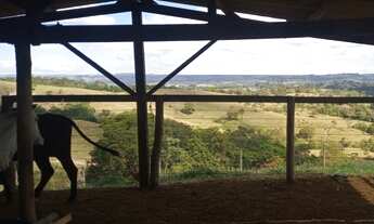 Imagem 2: Fazenda a venda em perdizes MG