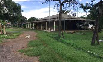 Imagem 7: Terreno - Ponte Alta - DF - 475 - 22.000 m²