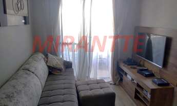 Imagem: Lindo apartamento em Vila Guilherme