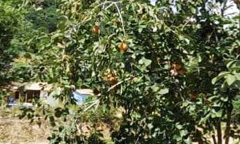 Imagem 6: Casa em São Bento do Chapéu - Domingos Martins