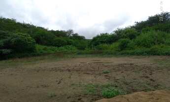 Imagem 6: Vendo e analiso propostas de troca área rural com 42 hectares com contrato com a eólica