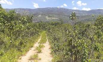 Imagem 4: Fazenda a venda Município de Cavalcante - GO