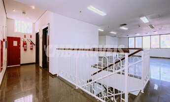 Imagem 7: Salão - Vila Itapura - Campinas