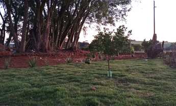 Imagem 5: Chácara 2 Hectares, localizada na Comunidade São Salvador/Cvel