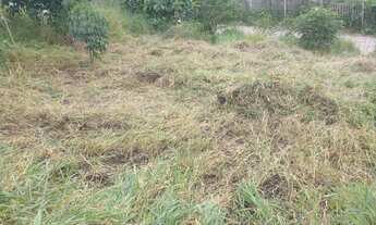 Imagem 3: Excelente Terreno no Fazenda da Laje - Nova Friburgo/RJ