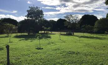 Imagem 5: Terreno - Ponte Alta - DF - 475 - 22.000 m²