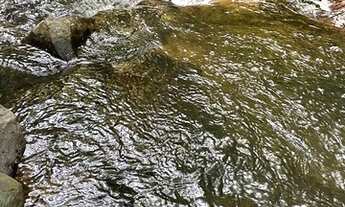 Imagem 2: Terreno Rural Urubici/Sítio 5 hectares Urubici