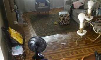 Imagem 5: Casa de 3 Dormitórios na Rua Pitangueiras