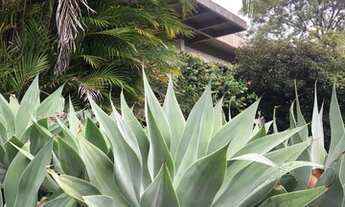 Imagem 4: Casa para venda tem 450 metros quadrados com 3 quartos em Chácara das Pedras por R$ 1.790