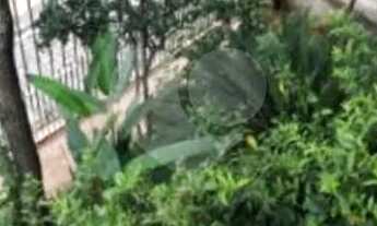 Imagem: Casa-Guarulhos-Vila Zamataro