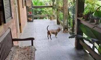 Imagem 5: Casa com 3 dormitórios à venda, 170 m² por R$ 900.000 - Maresias - São Sebastião/SP