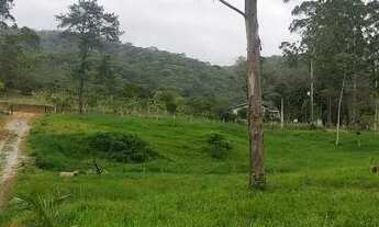 Imagem 2: SÍTIO COM EXCELENTE METRAGEM NO CATÉS EM CAMBORIÚ