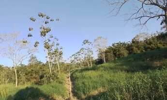 Imagem 4: Vendo excelente sítio de 10 alqueires em Iguape-SP