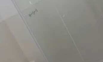 Imagem 5: Apartamento para aluguel com 67 metros quadrados com 2 quartos em Fundação - São Caetano d