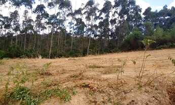 Imagem 2: Terreno para chácara no bairro do castanho 1000m2