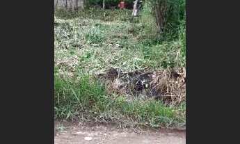 Imagem 3: Terreno escriturada a venda na praia, metragem de 250 m². Itanhaém/SP