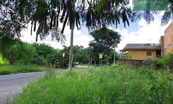 Imagem 6: Terreno à venda- Res. Novo Mundo- 175 m² por R$ 122.000 - Campinas/SP