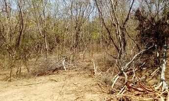 Imagem 3: Terreno localizado em Francisco Sá a 5 reais o metro