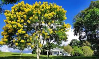 Imagem 4: Linda Chácara em Mandirituba - 40 km de Curitiba - Excelente localização!