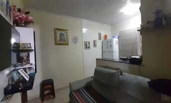 Imagem 4: Samambaia *financia até 100%