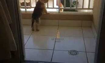 Imagem 7: Apartamento com 3 dormitórios à venda, 87 m² por R$ 573.000,00 - Vila Valparaíso - Santo A