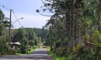 Imagem 2: Terreno no bairro Cipó em São Francisco de Paula!