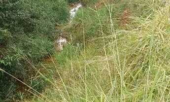 Imagem 7: Área à venda, 128.342 m² por R$ 750.000 - Boa Vista - Caçapava/SP