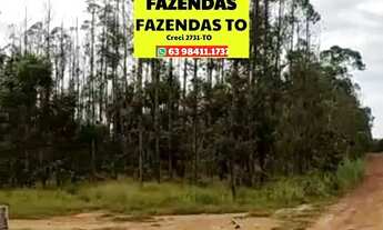 Imagem 2: Fazenda entre Brejinho e Aliança excelente lavoura Tocantins