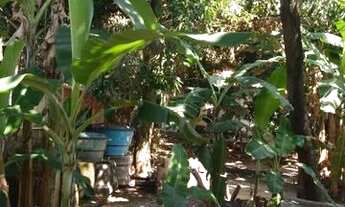 Imagem 2: Atenção investidores!!!<br>Imóveis comercial em um terreno de esquina, sendo que,&lt