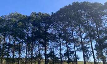 Imagem 7: Lote/Terreno para venda possui 500 metros quadrados em Centro - Atibaia - SP