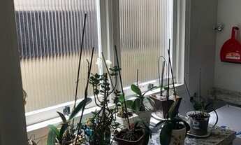 Imagem 7: Casa para venda possui 650 metros quadrados com 4 quartos em Chácara das Pedras - Porto Al