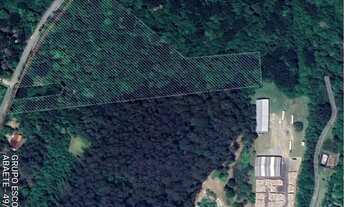 Imagem: Área Comercial - Bairro Vila Suzana