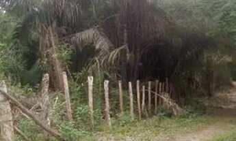 Imagem 3: Terreno mart zona rural