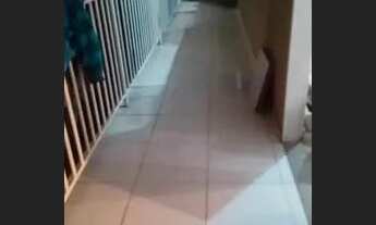 Imagem 4: Aluguel Apartamento com 2 dormitórios