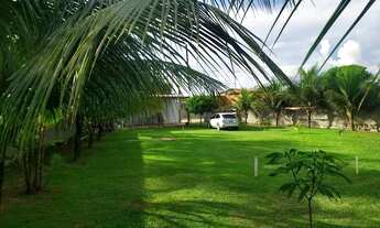 Imagem 2: Lote no bairro Goiabal