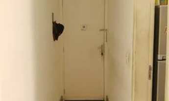 Imagem 3: Apartamento para venda possui 51 metros quadrados com 2 quartos