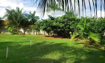 Imagem: Lote no bairro Goiabal