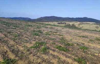 Imagem 7: 48AN-1SFMDU0 Terreno / lote com venda por R$90.000