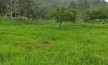 Imagem 6: SÍTIO COM EXCELENTE METRAGEM NO CATÉS EM CAMBORIÚ