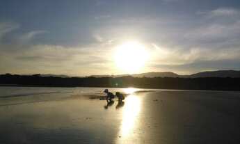 Imagem: Vendo Casa em condomínio fechado - 3dorms/1