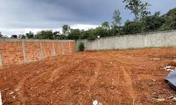 Imagem 2: Lote descida da água de coco