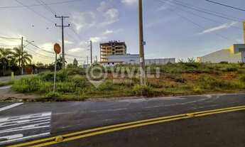 Imagem: Terreno-À VENDA-Morrão da Força-Itatiba-SP