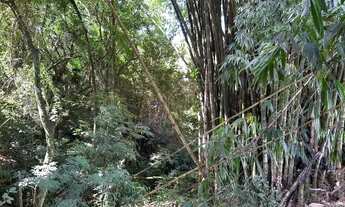 Imagem 4: Linda chácara na área urbana do município de Corbélia!!!