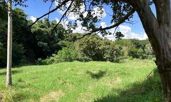 Imagem 7: Linda chácara na área urbana do município de Corbélia!!!