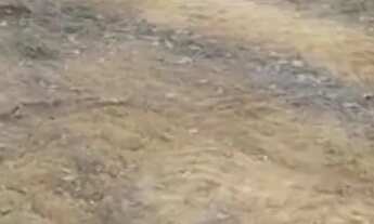 Imagem: Chácara DF Planaltina Bonsucesso